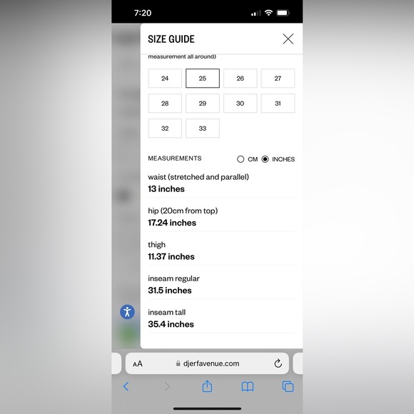 DJerf Ave Blue Jeans - Picture 5 of 5